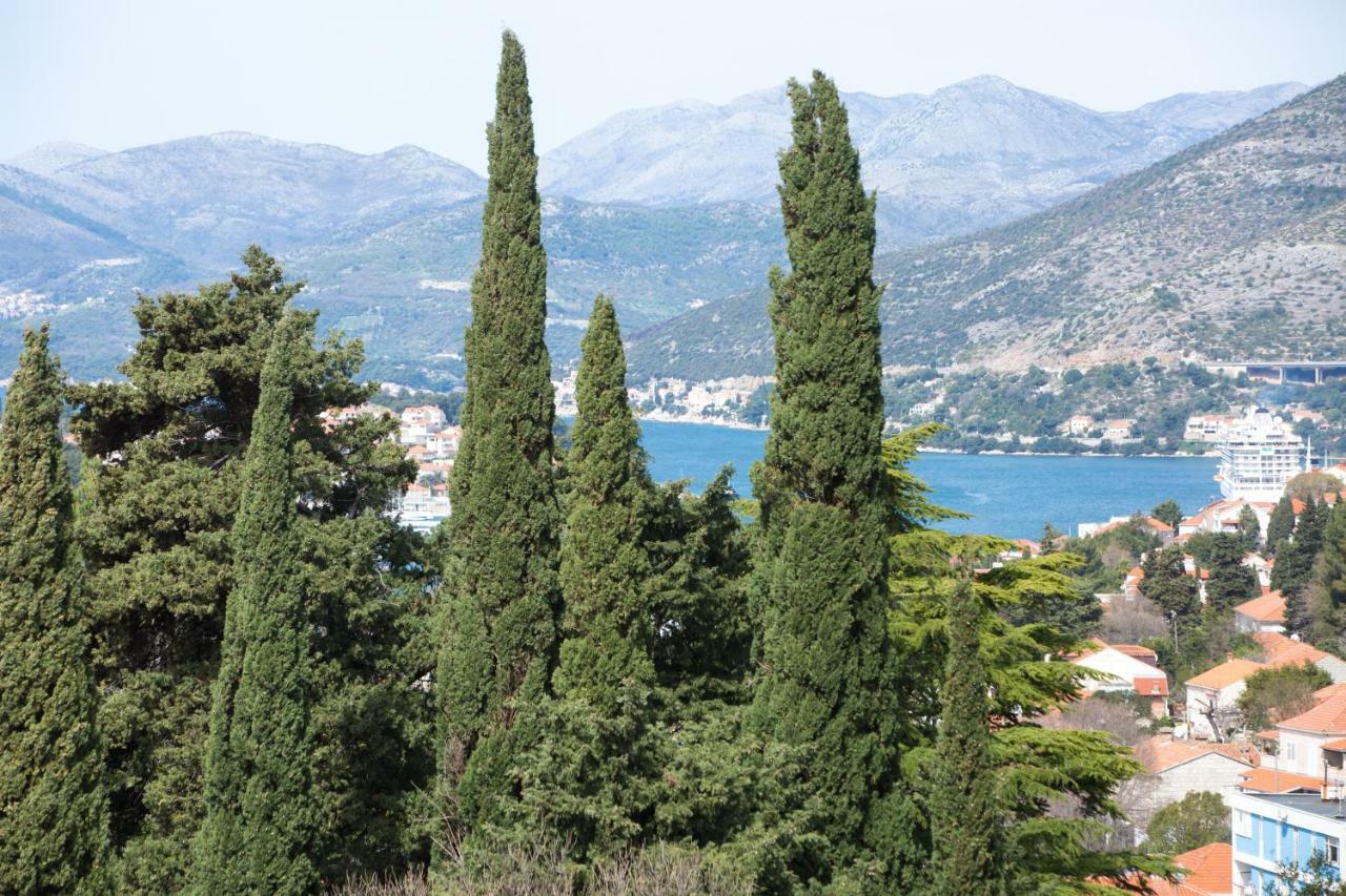 Apartman Spacious Near The Old Town Dubrovnik